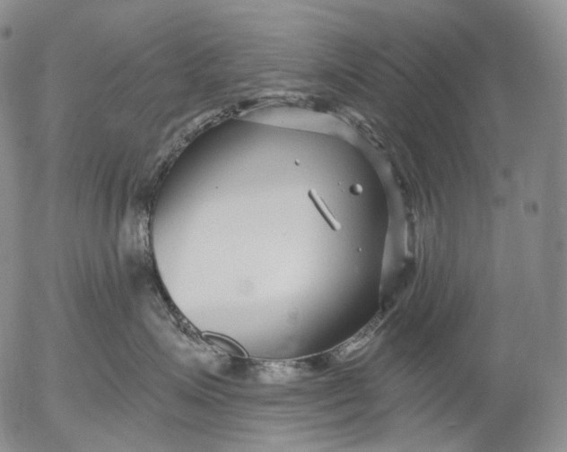 X0000052980623200507291553