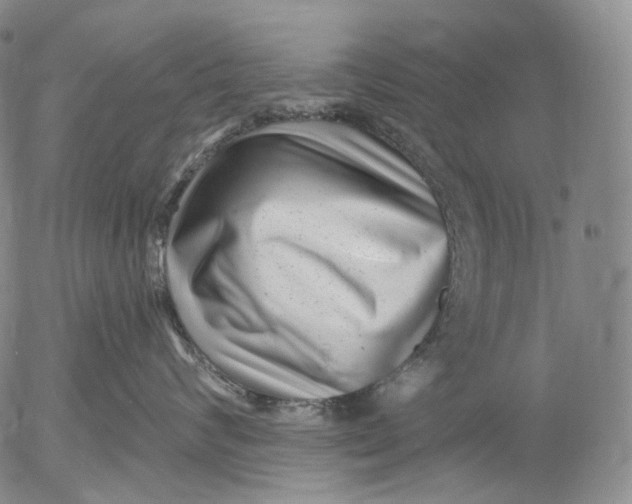 X0000052980624200507291553