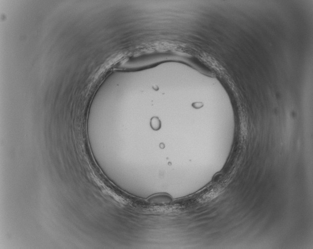 X0000052980625200507291552