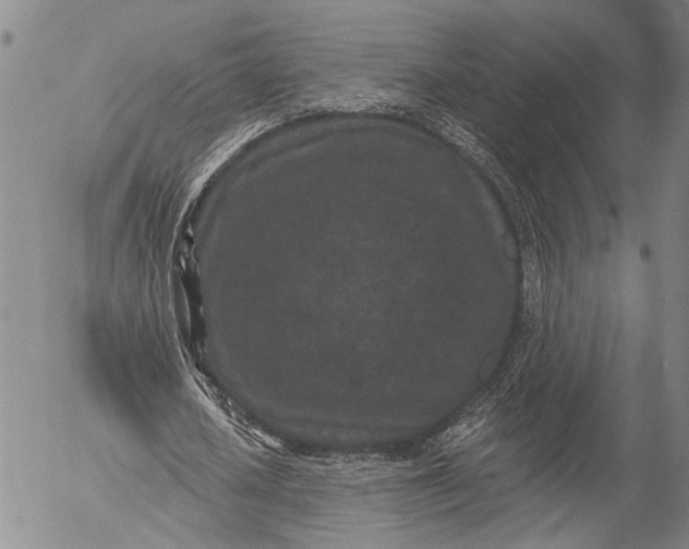 X0000052980626200507291552