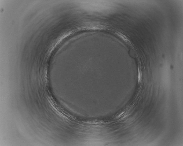 X0000052980627200507291552