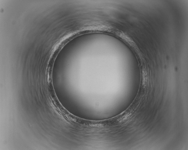 X0000052980628200507291552