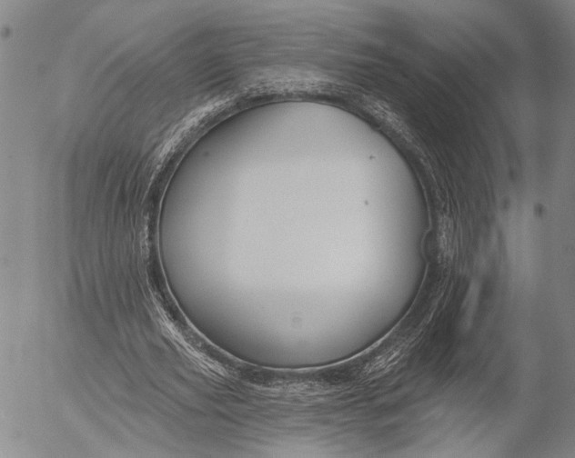 X0000052980629200507291552