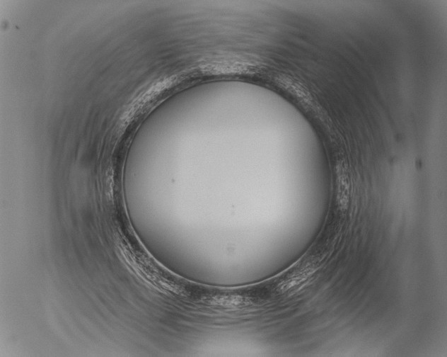 X0000052980631200507291552