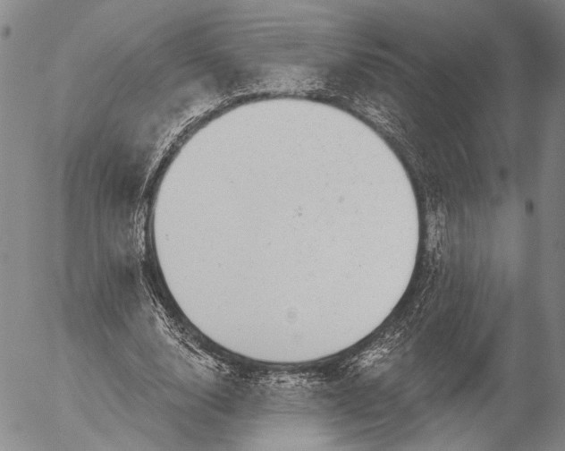 X0000052980632200507291552