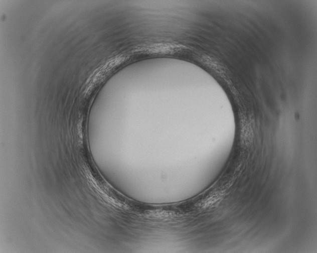 X0000052980633200507291552