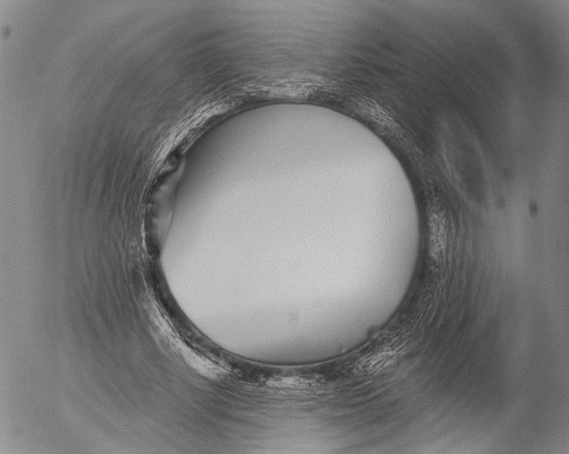 X0000052980634200507291552