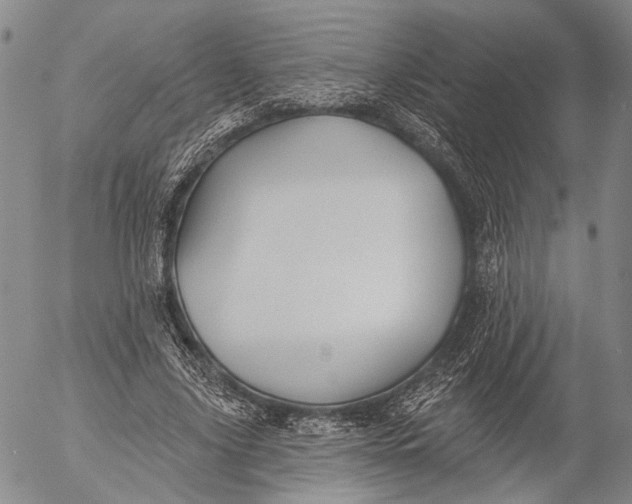 X0000052980635200507291552