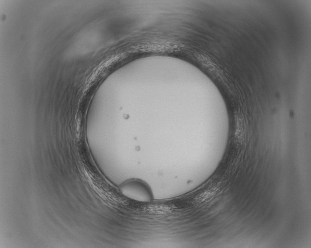 X0000052980636200507291552