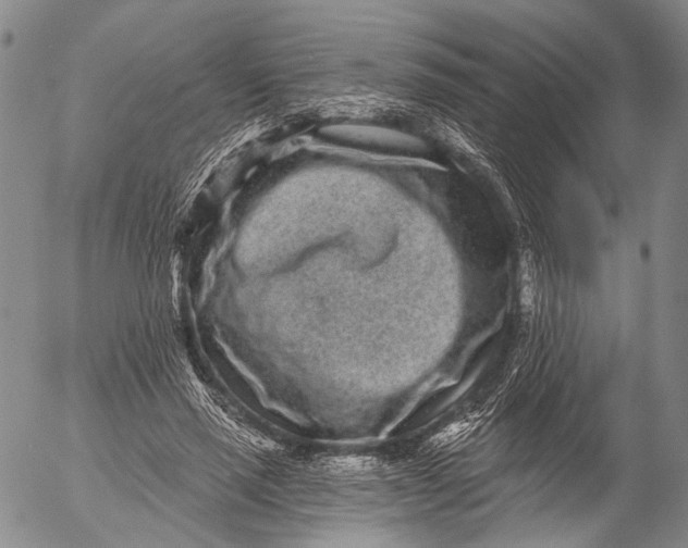 X0000052980637200507291552