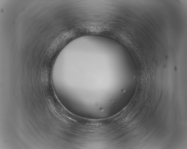 X0000052980639200507291552