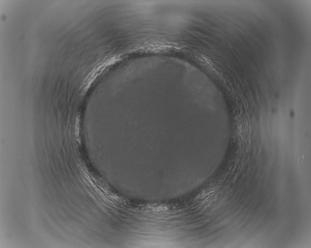 X0000052980640200507291552