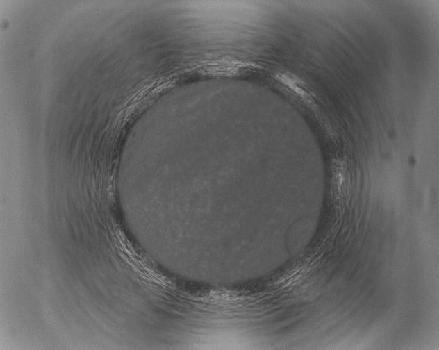 X0000052980641200507291552