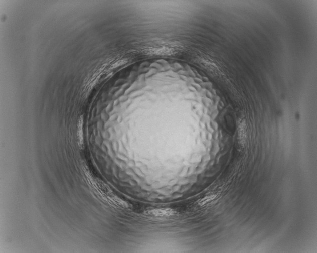 X0000052980642200507291552