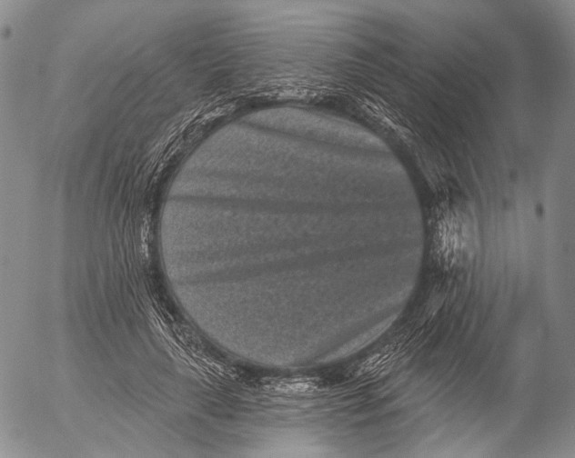 X0000052980643200507291552