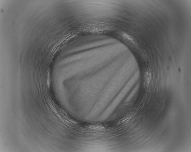 X0000052980644200507291552