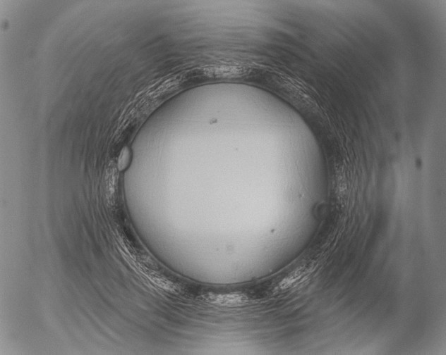 X0000052980645200507291552