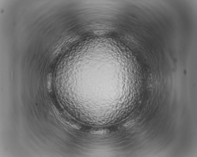 X0000052980646200507291553