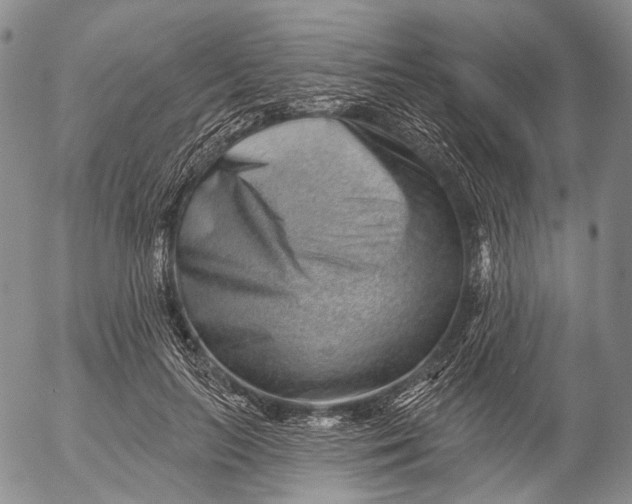 X0000052980647200507291553