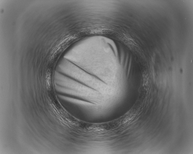 X0000052980648200507291553