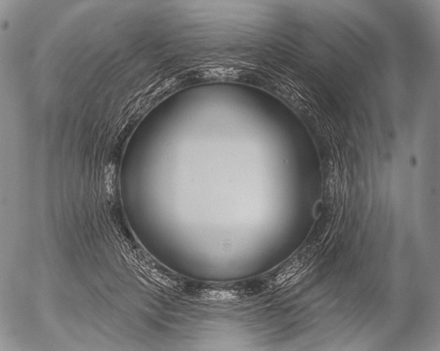 X0000052980649200507291553