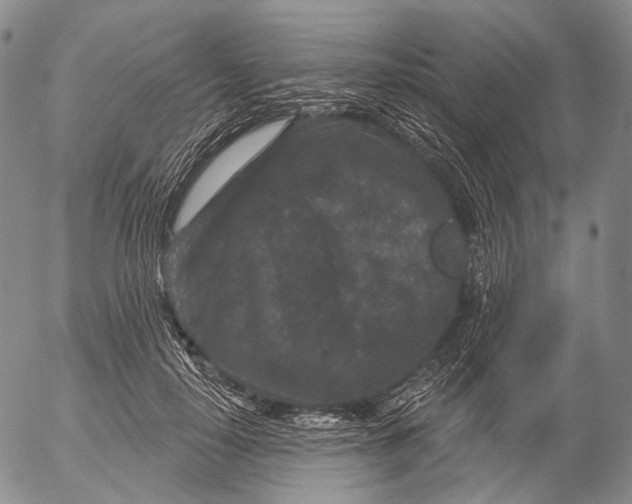 X0000052980650200507291553