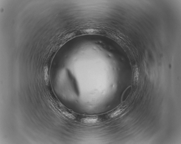 X0000052980651200507291553