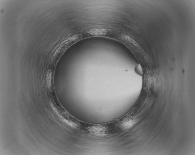 X0000052980652200507291553