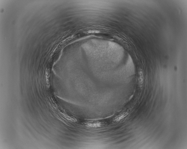 X0000052980653200507291553