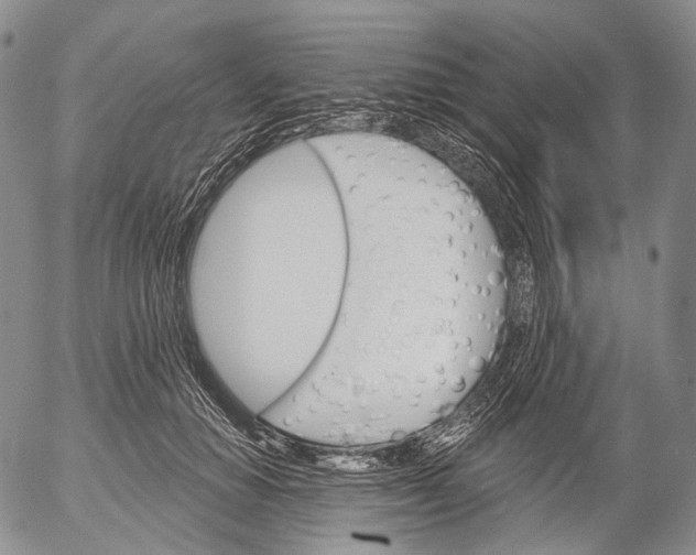 X0000052980654200507291553