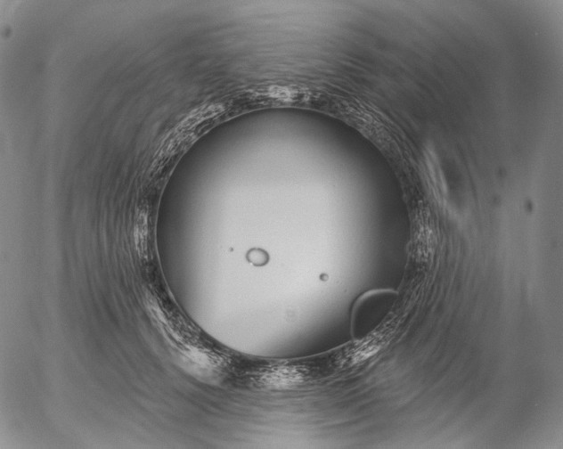 X0000052980656200507291553