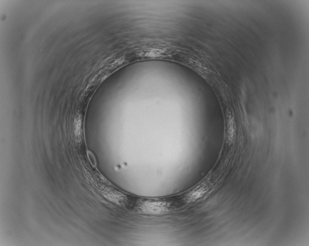 X0000052980657200507291553