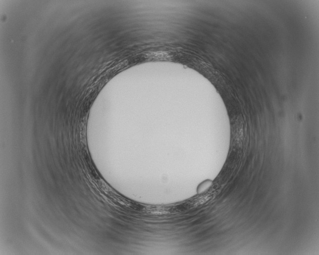 X0000052980658200507291553