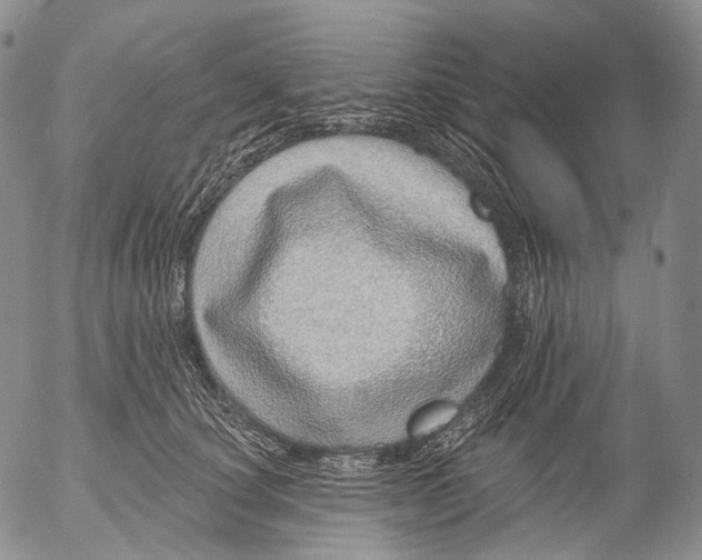 X0000052980660200507291553