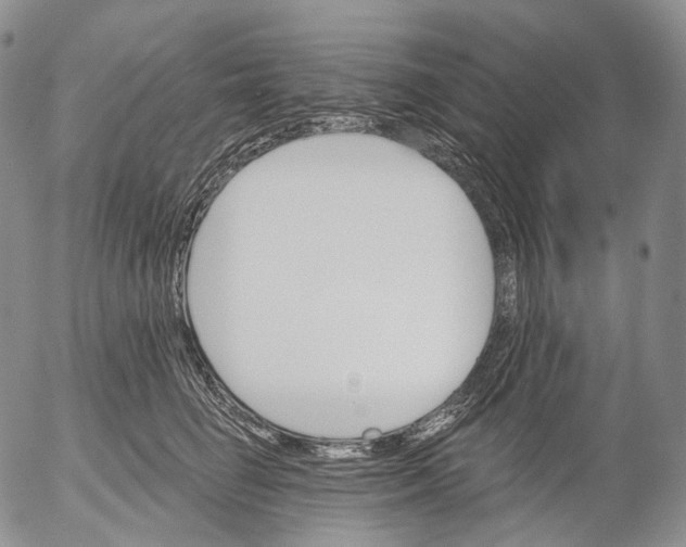 X0000052980662200507291553