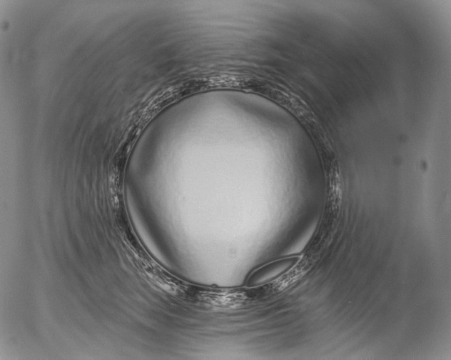 X0000052980663200507291553