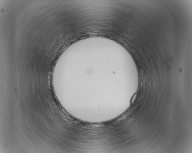 X0000052980664200507291553