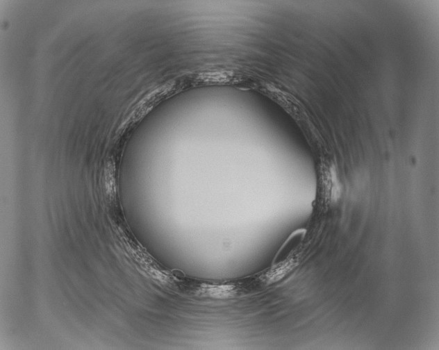 X0000052980665200507291553