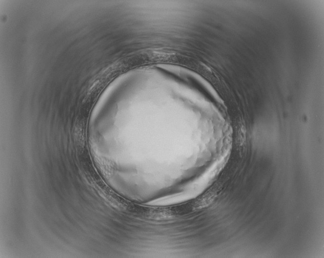 X0000052980666200507291553