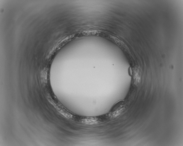 X0000052980668200507291553