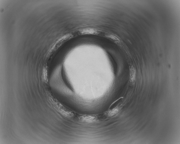 X0000052980669200507291553