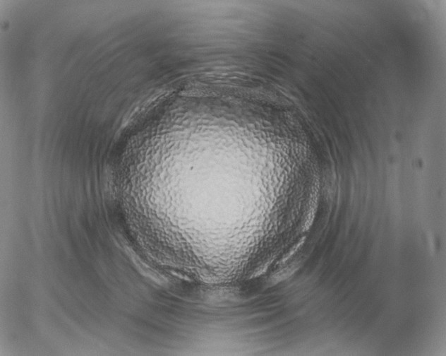 X0000052980670200507291553