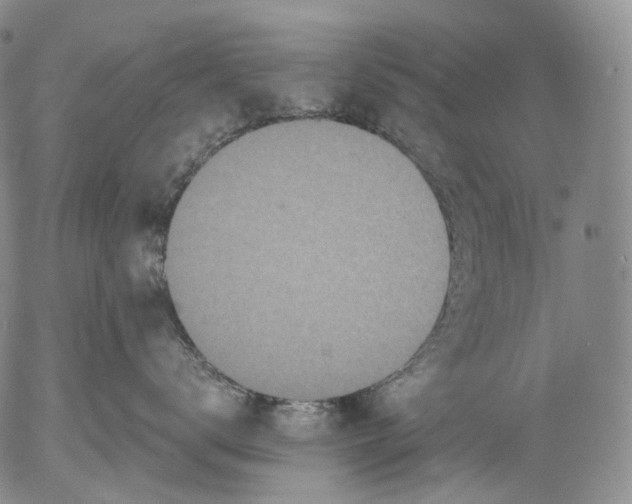 X0000052980672200507291553