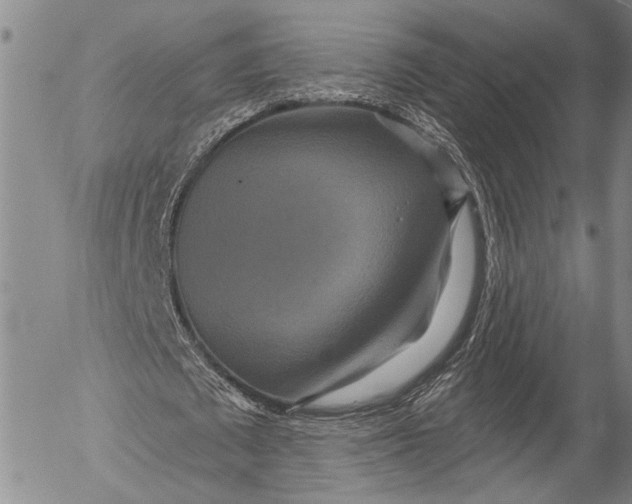 X0000052980673200507291552