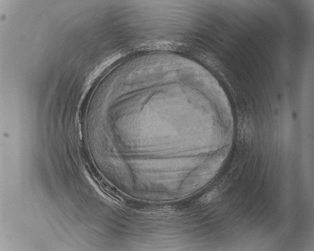 X0000052980674200507291552