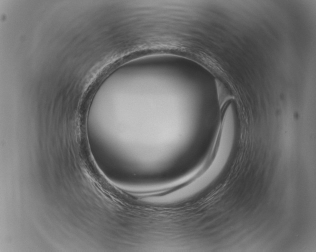 X0000052980676200507291552