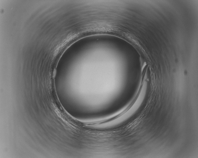 X0000052980677200507291552