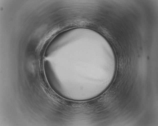 X0000052980679200507291552