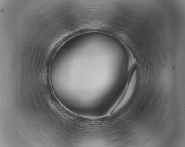 X0000052980680200507291552