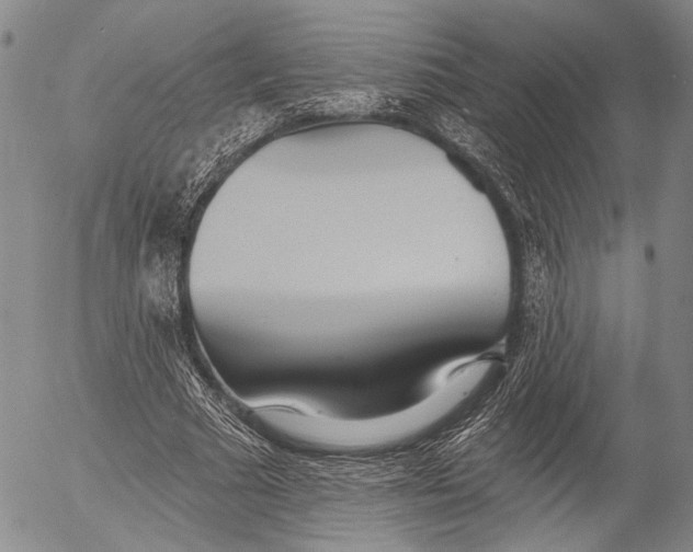 X0000052980681200507291552